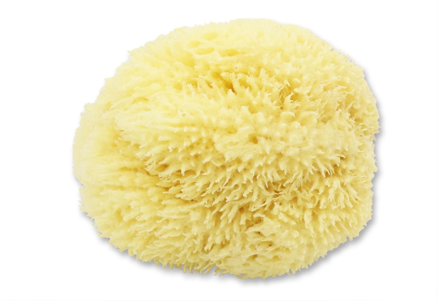 Gerlinde Hofer _ Florex GmbH Hautpflegeschwamm M120, Badeschwamm Babyschwamm extra weich Ø 12 cm
