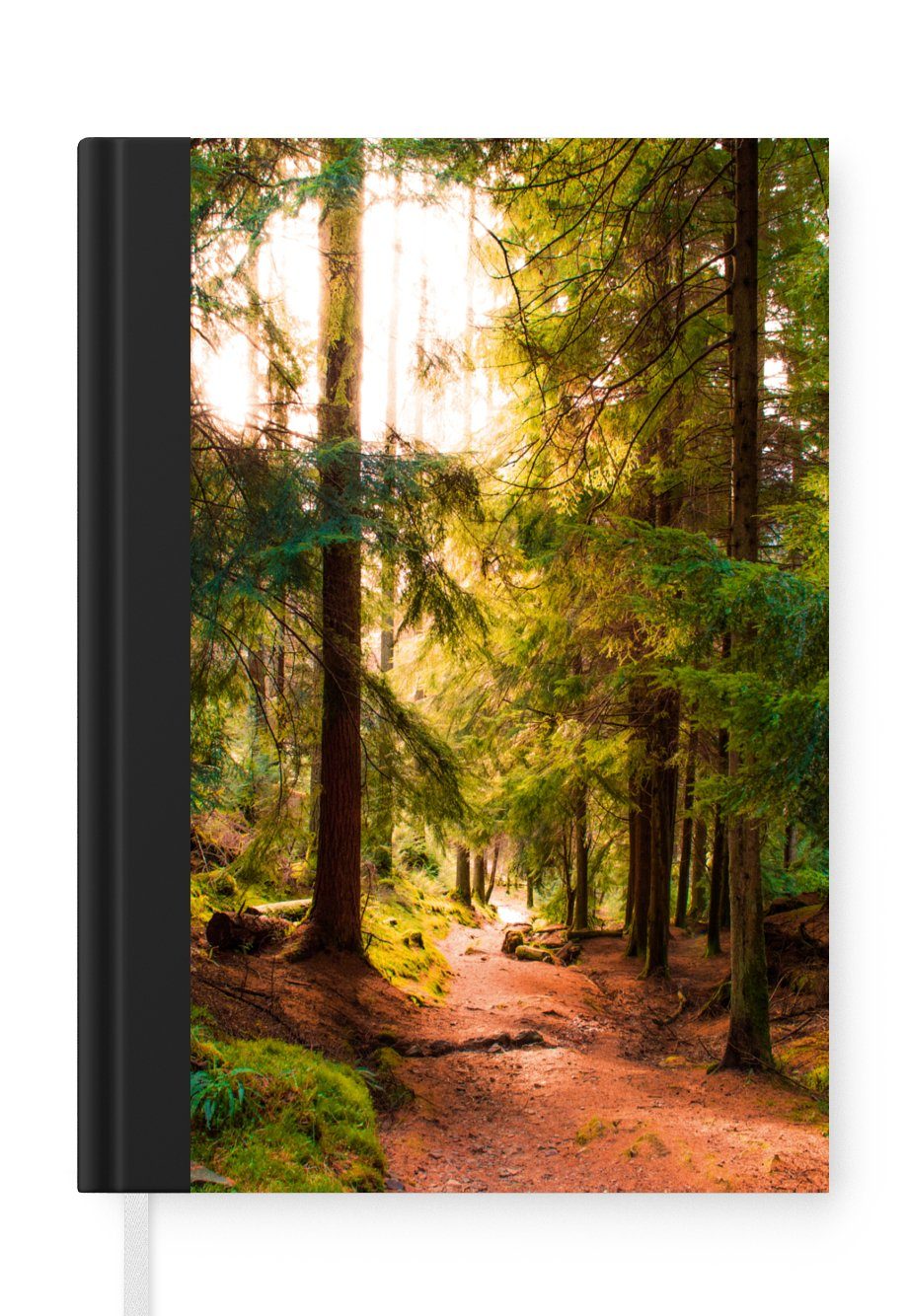 - Grün - 98 Haushaltsbuch Notizheft, - Wald Journal, Seiten, Bäume Tagebuch, - MuchoWow Sonne Notizbuch - A5, Natur, Weg Merkzettel,