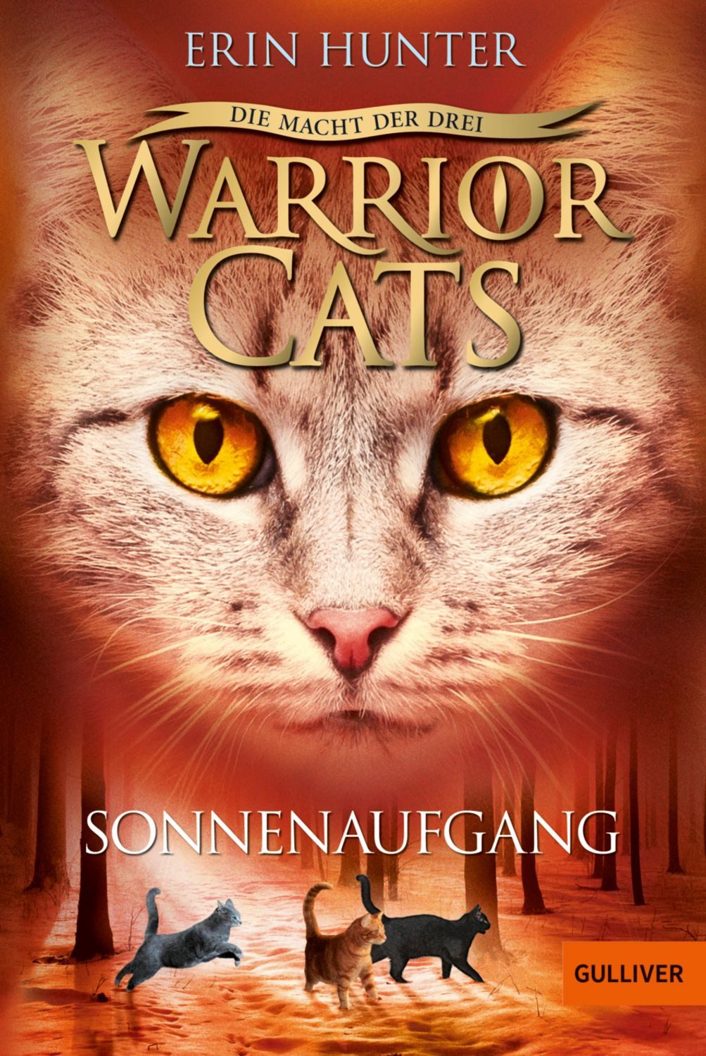 Warrior Cats - Die Macht der drei. Sonnenaufgang Staffel III, Band 6 / Erin Hunter