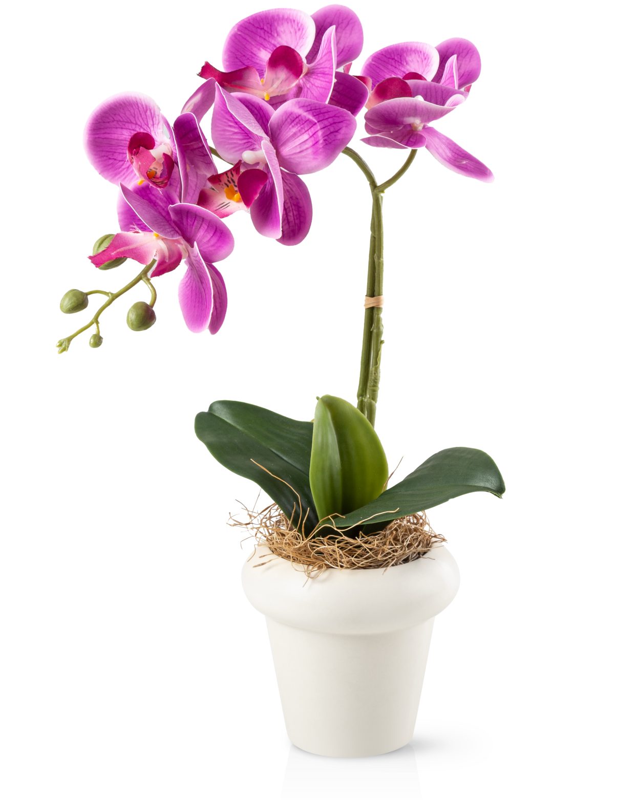 Kunstblume Kunstblumen im Topf, Künstliche Blumen wie echt, Deko Blumen Geranie, Kamelie, Orchidee, Azalee, Veilchen, PASCH, Hochwertiger Keramiktopf