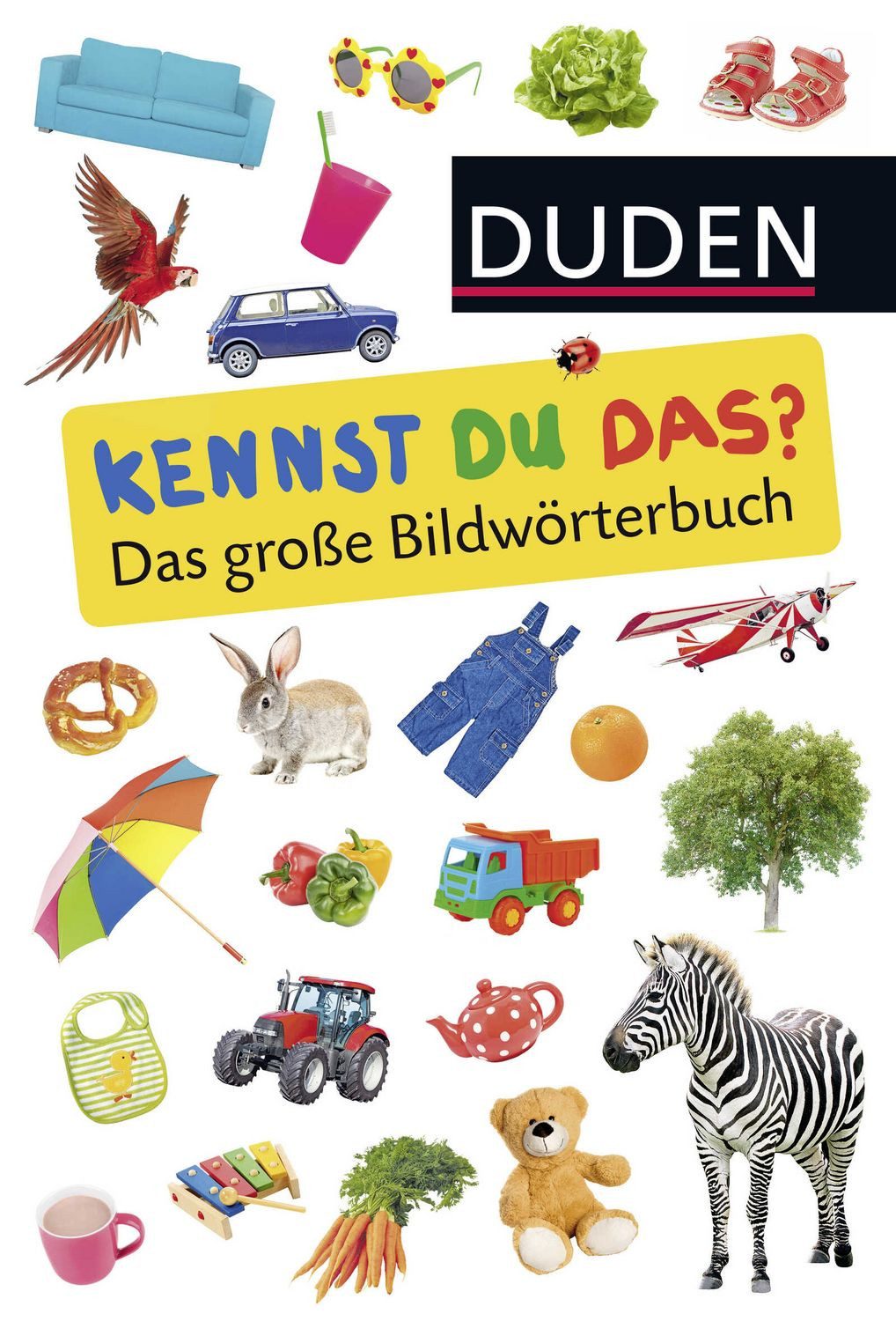 Duden 24+: Kennst du das? Das große Bildwörterbuch / diverse