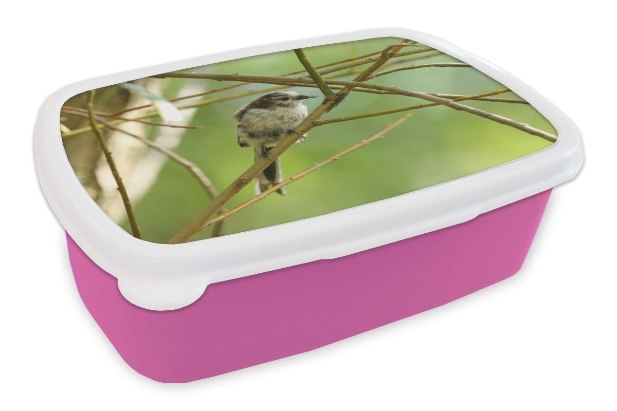 MuchoWow Lunchbox Vogel zwischen den Zweigen, Kunststoff, (2-tlg), Brotbox für Erwachsene, Brotdose Kinder, Snackbox, Mädchen, Kunststoff rosa