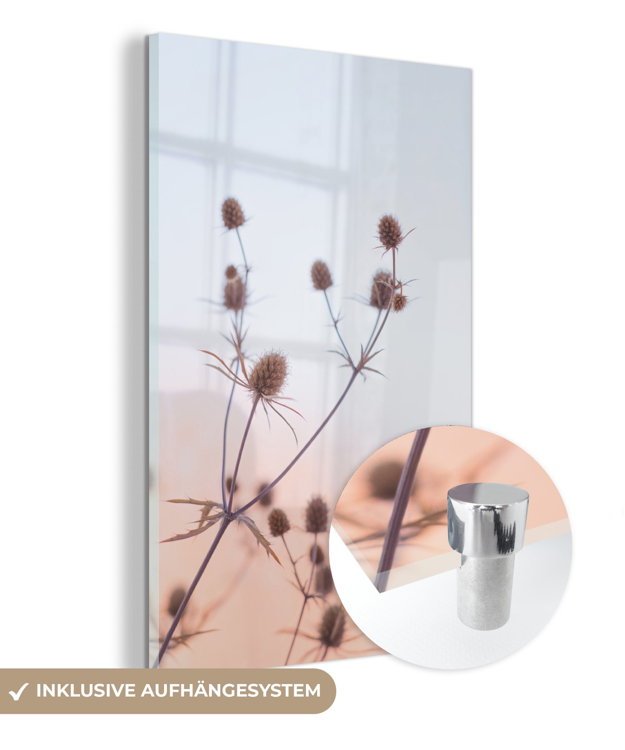 MuchoWow Acrylglasbild Getrocknete Blumen - Pastell - Himmel, (1 St), Glasbilder - Bilder auf Glas Wandbild - Foto auf Glas - Wanddekoration
