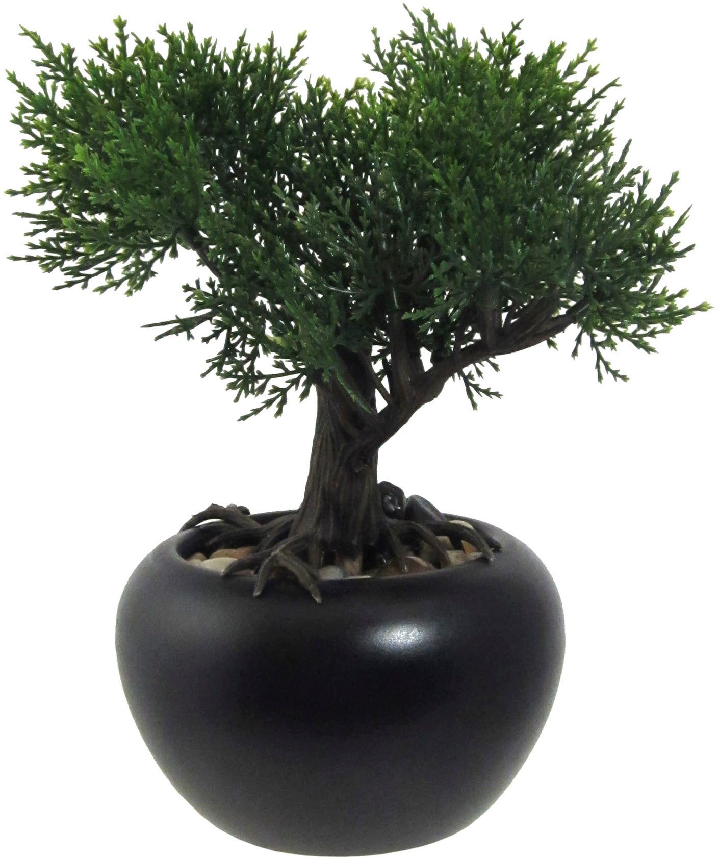 Kunstbonsai Bonsai Kiefer und Zeder, Creativ günstig online kaufen
