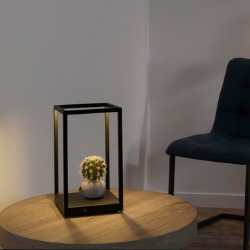 Paul Neuhaus LED Tischleuchte LED Tischleuchte Contura in Schwarz 6,5W 140lm, keine Angabe, Leuchtmittel enthalten: Ja, fest verbaut, LED, warmweiss, Tischleuchte, Nachttischlampe, Tischlampe