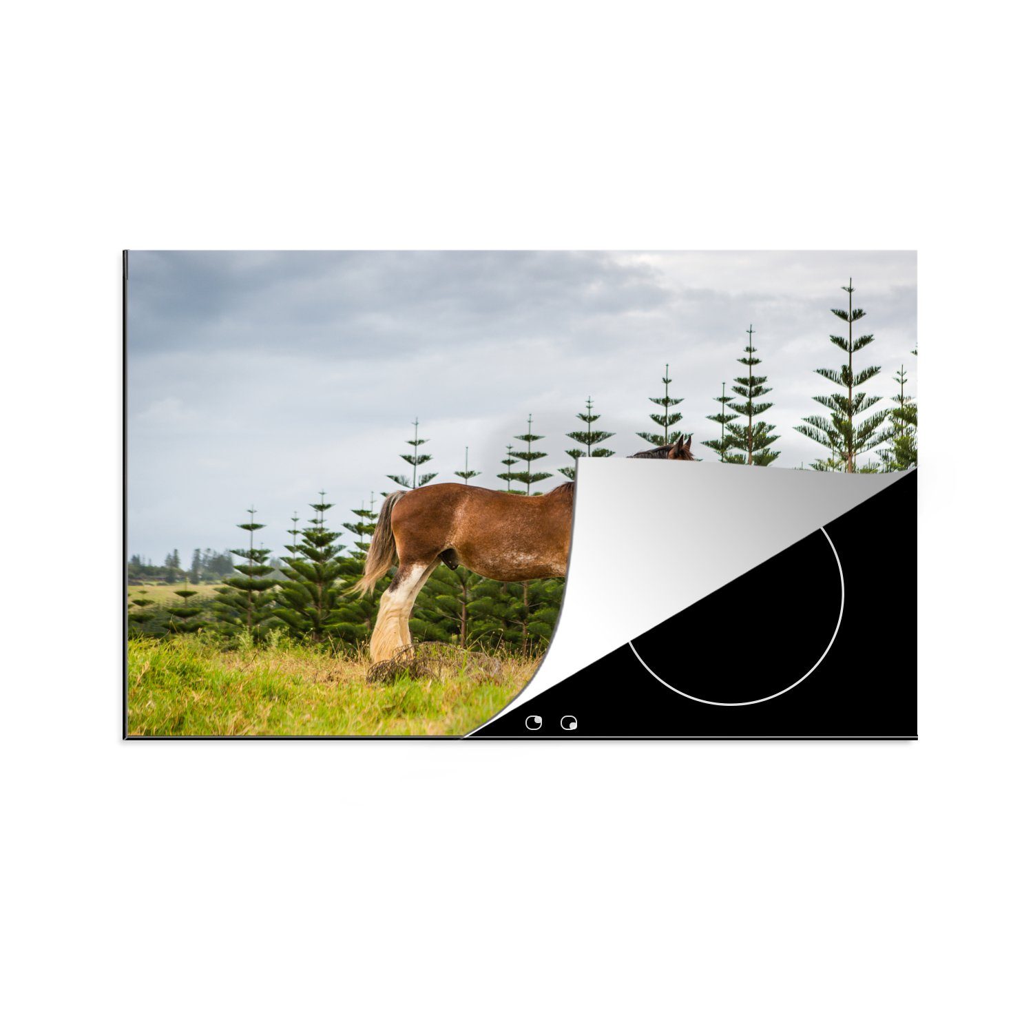Herdblende-/Abdeckplatte Clydesdale Vinyl, - Pferde, - Ceranfeldabdeckung die cm, küche, tlg), MuchoWow (1 Induktionskochfeld Schutz für Gras 81x52