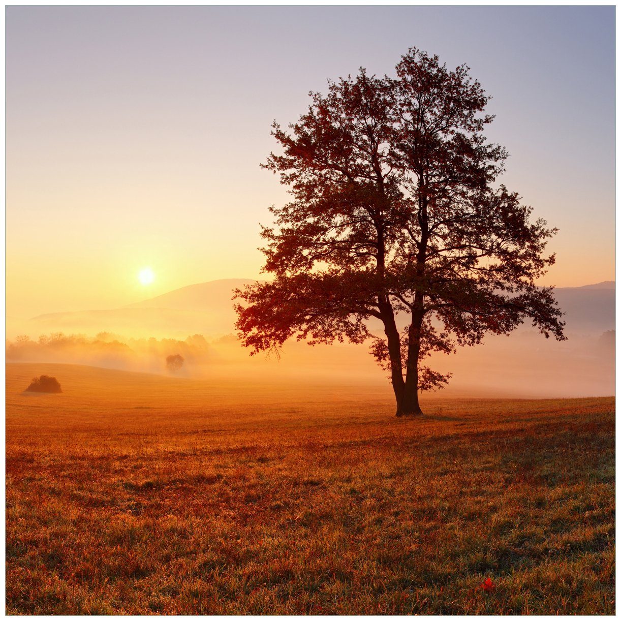 Wallario Tischplatte Sonnenaufgang über der Wiese mit Nebel (1 St), für Ikea Lack Tisch geeignet