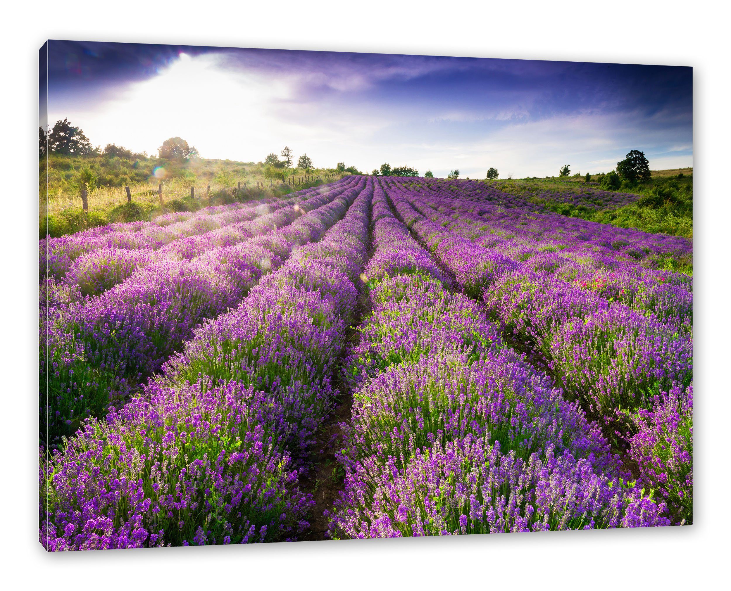 Pixxprint Leinwandbild Lavendelfeld Provence, Lavendelfeld Provence (1 St), Leinwandbild fertig bespannt, inkl. Zackenaufhänger