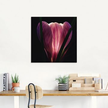 Artland Glasbild »Beleuchtet«, Blumen (1 Stück)