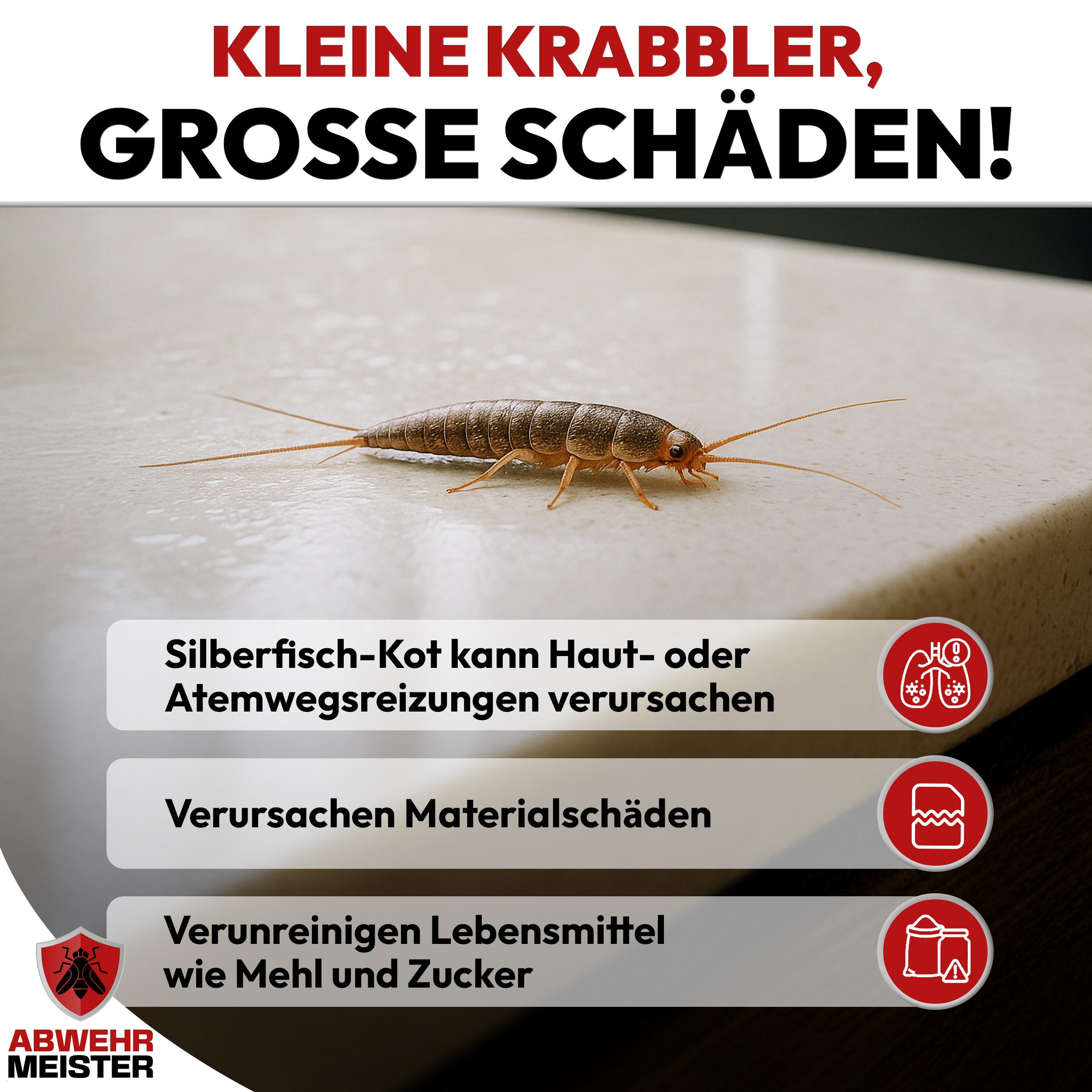ABWEHR MEISTER Insektenspray ORGINAL ByeBye Silberfisch- Spray [500 ml], 2-St., Präzise Anwendung, dank integrierter Sprühlanze – Bild 3 von 5