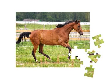 puzzleYOU Puzzle Pferd im leichten Galopp auf einer Wiese, 48 Puzzleteile, puzzleYOU-Kollektionen Pferde, Hannoveraner Pferde