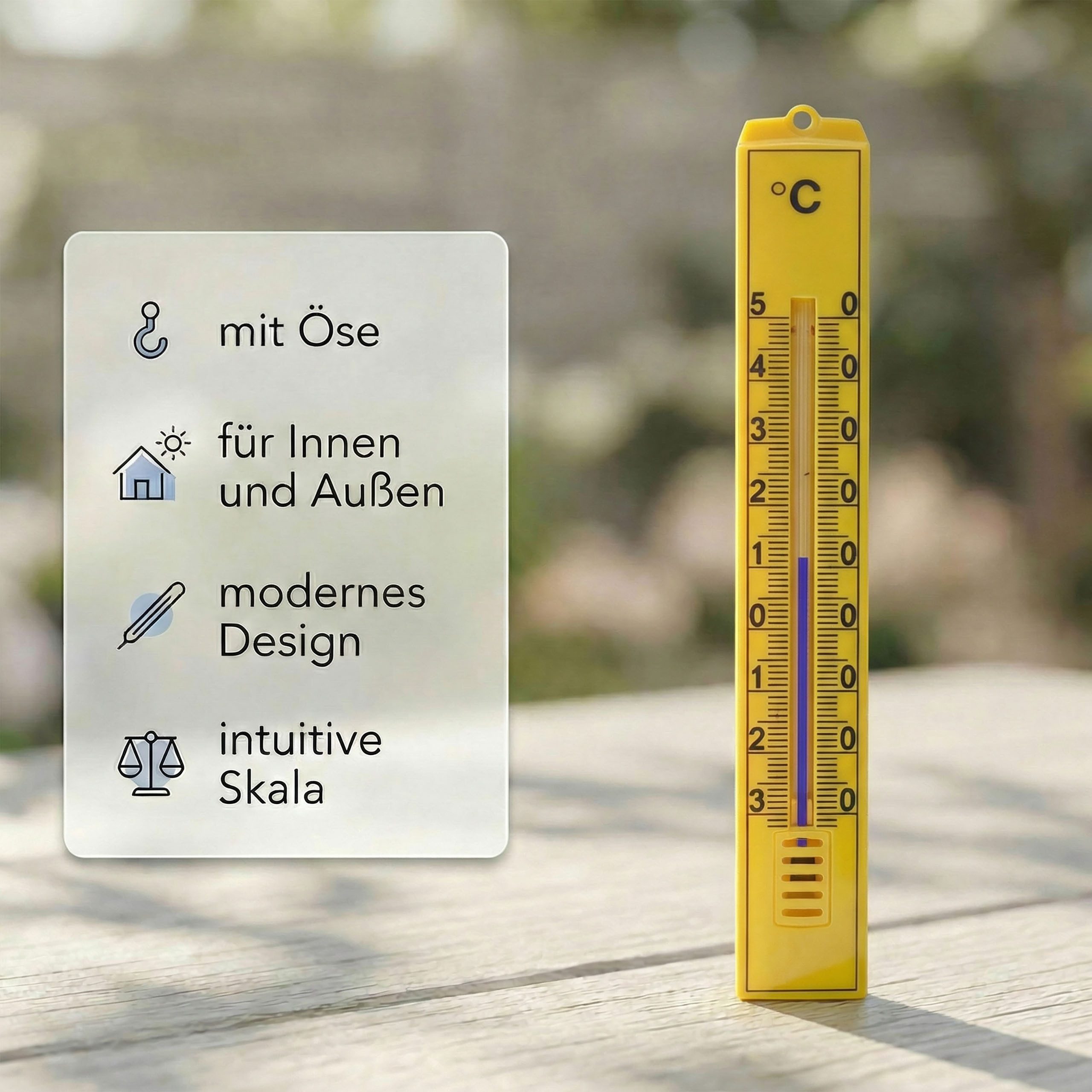 Lantelme Raumthermometer Sonderedition Fußball Weltmeisterschaft Innen-Außen Thermometer Set, Außenthermometer Länderfarben Set wählbar, Deutsche Herstellung, Temperatur -30 bis 50°C Analog, 17cm