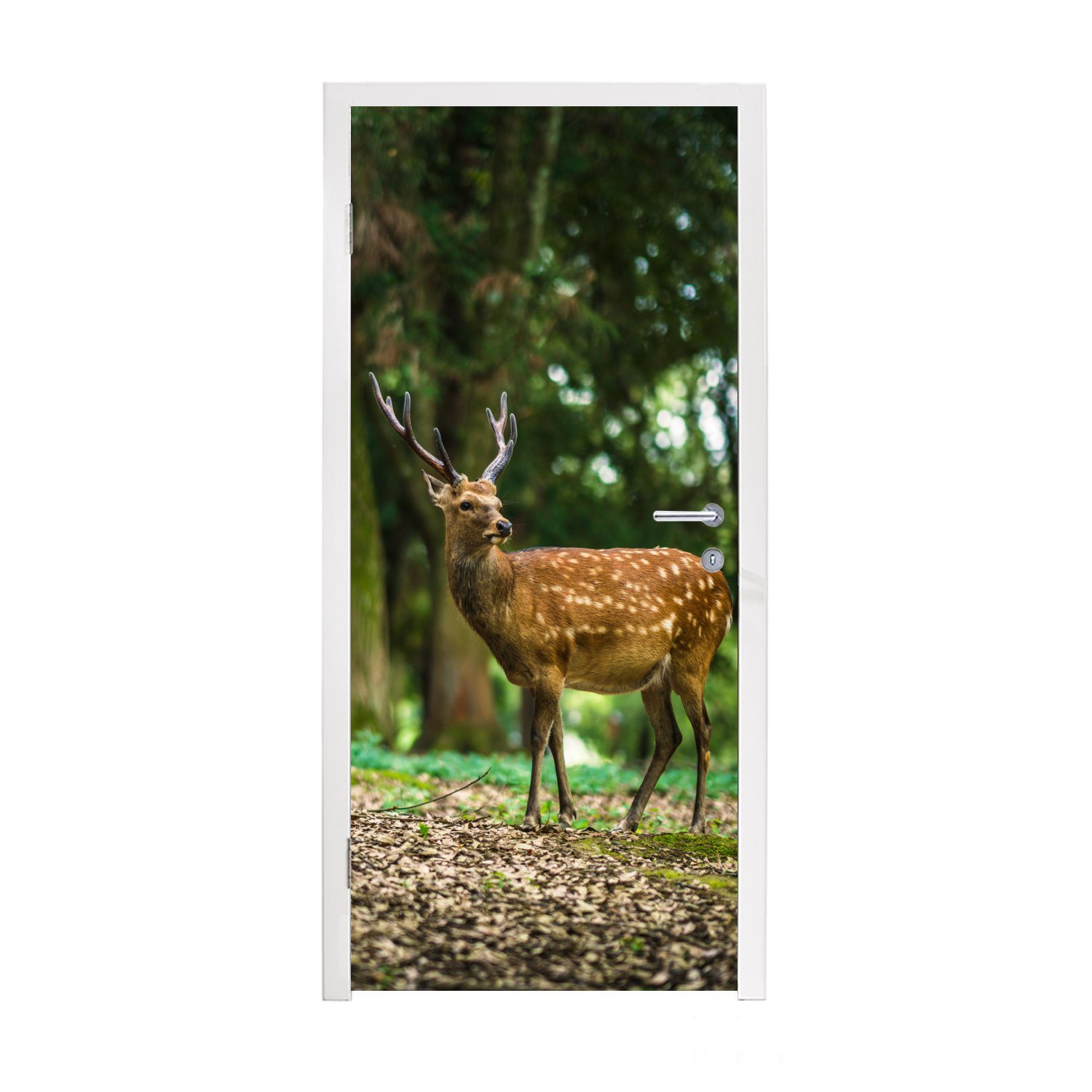 MuchoWow Türtapete Rotwild - Wald - Tier, Matt, bedruckt, (1 St), Fototapete für Tür, Türaufkleber, 75x205 cm
