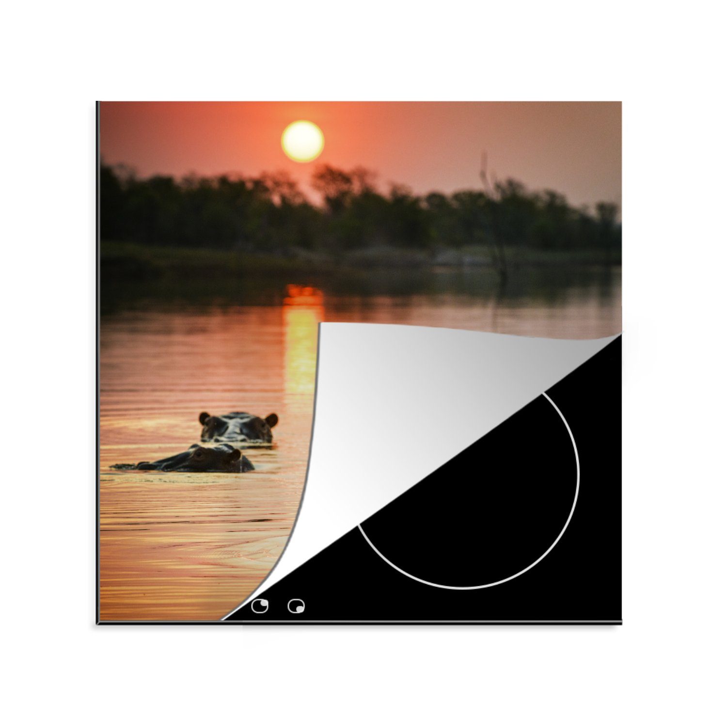 MuchoWow Herdblende-/Abdeckplatte Sonne - Arbeitsplatte Wasser (1 cm, für Ceranfeldabdeckung, - 78x78 Nilpferd, tlg), küche Vinyl