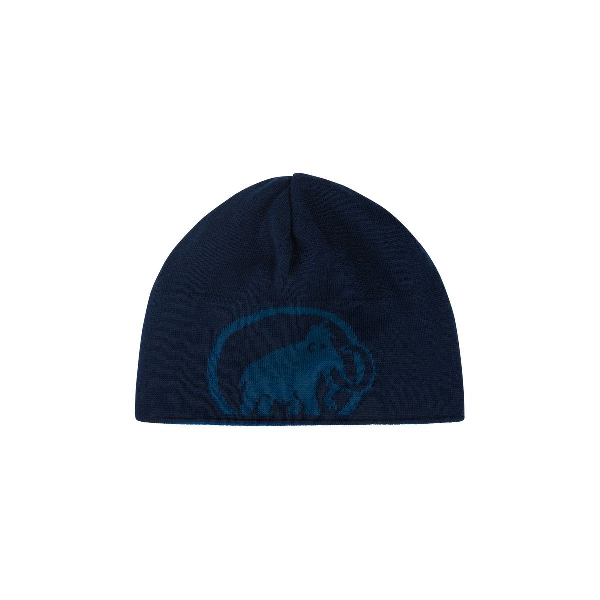 Mammut Strickmütze Logo Beanie (Mütze) ice-marine Mammut - deep