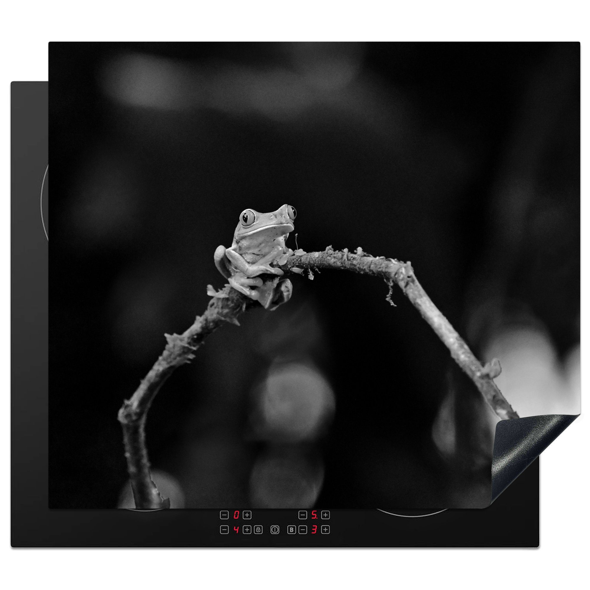 MuchoWow Herdblende-/Abdeckplatte Rotaugen-Quecksilberfrosch auf Ast - schwarz und weiß, Vinyl, (1 tlg), 60x52 cm, Mobile Arbeitsfläche nutzbar, Ceranfeldabdeckung | Herdabdeckplatten