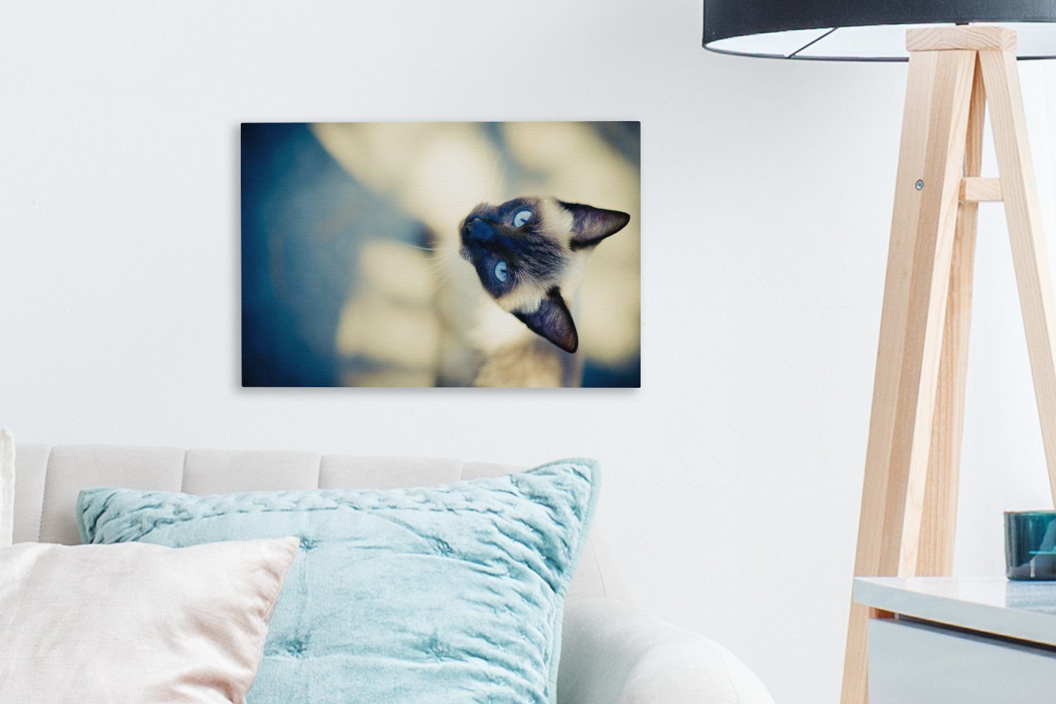 Eine von siamesische Katze Wanddeko, OneMillionCanvasses® oben, 30x20 Aufhängefertig, Leinwandbilder, Wandbild cm St), Leinwandbild (1