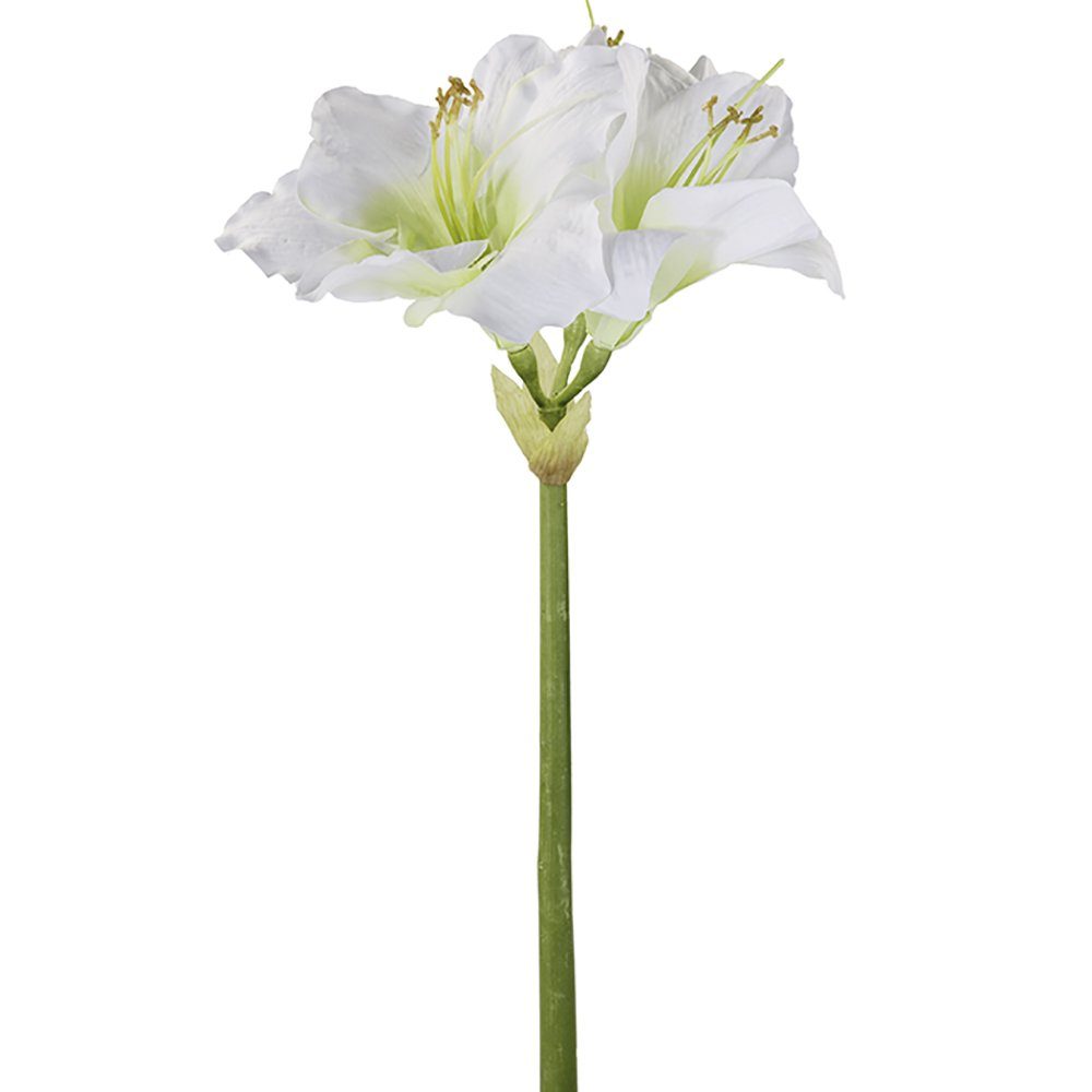 Kunstpflanze FINK Kunstblume Amaryllis - weiß - H. 1cm x B. 15cm, Fink günstig online kaufen