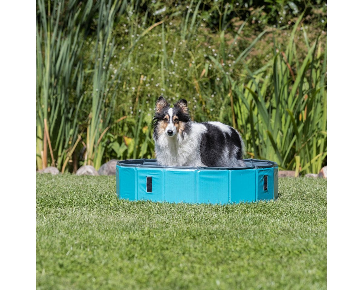 Thumbnail - TRIXIE Hundepool Hundepool