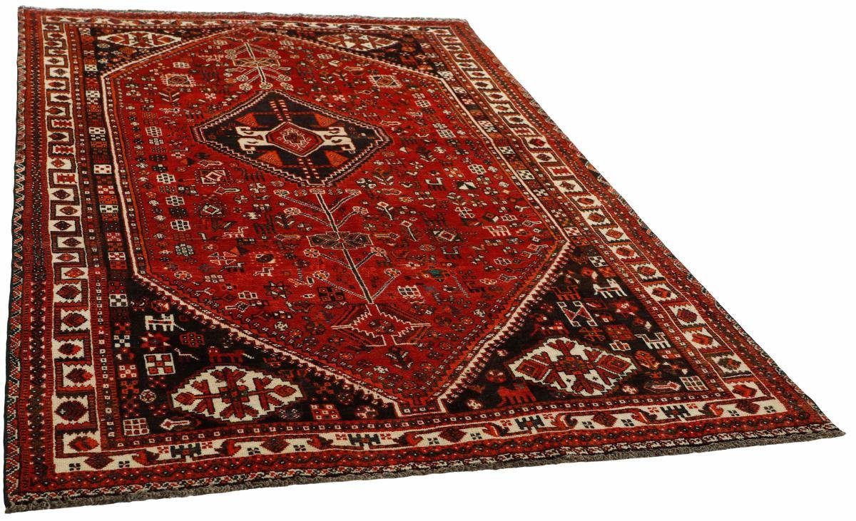 Orientteppich Shiraz 159x253 Handgeknüpfter Orientteppich Höhe: Trading, rechteckig, Nain Perserteppich, mm 10 