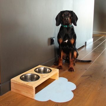 BedDog Napf Hundenapf mit 2 Schüsseln, erhöhter Doppel-Fressnapf Hundebar, Edelstahl