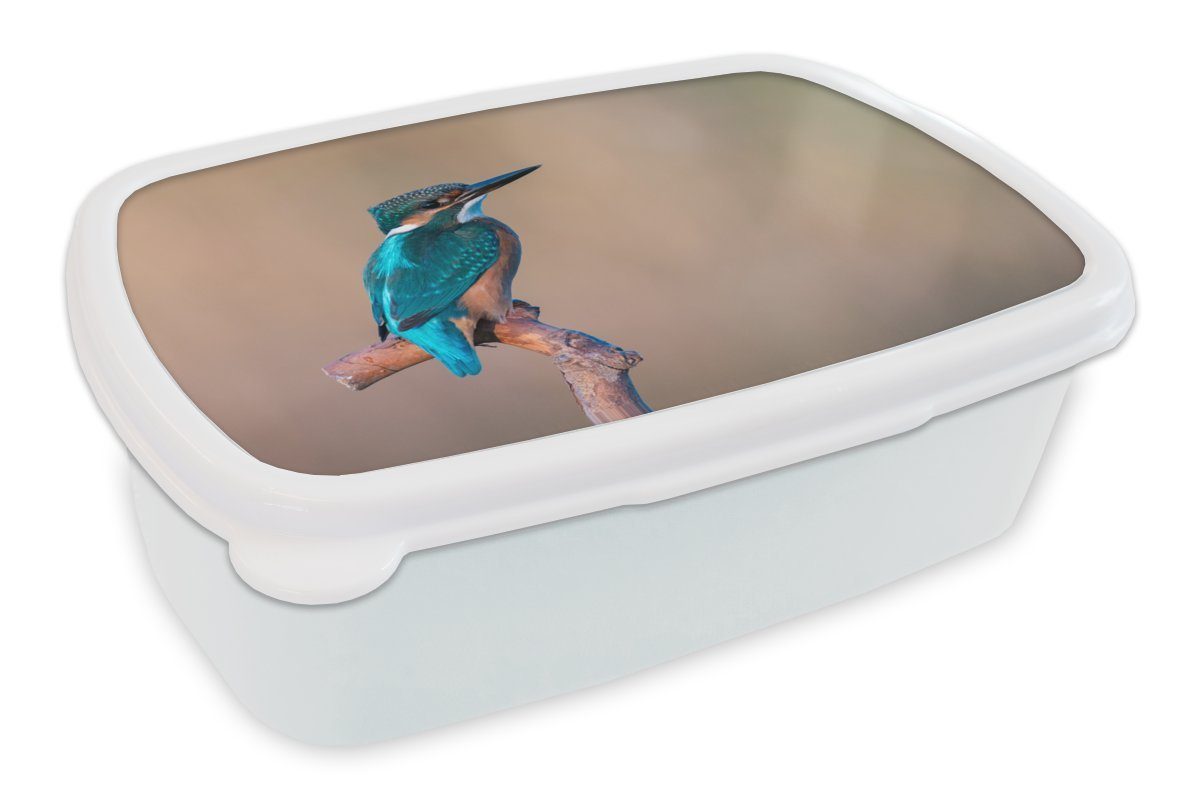 MuchoWow Lunchbox Eisvogel - Porträt - Zweig, Kunststoff, (2-tlg), Brotbox für Kinder und Erwachsene, Brotdose, für Jungs und Mädchen weiß