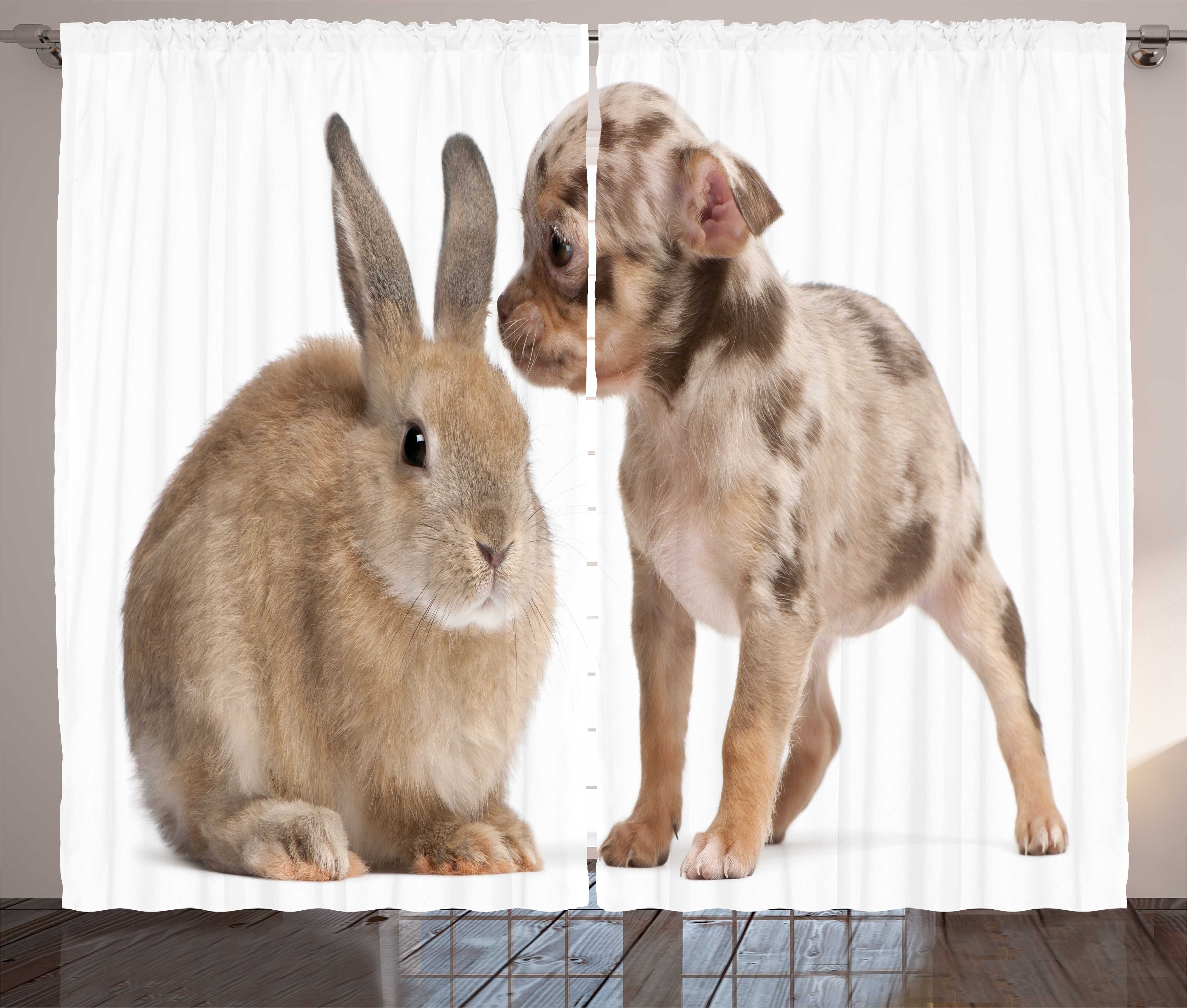 Gardine Schlafzimmer Kräuselband Schlaufen Kaninchen mit Vorhang mit Chihuahua-Welpe Tier Abakuhaus, und Haken