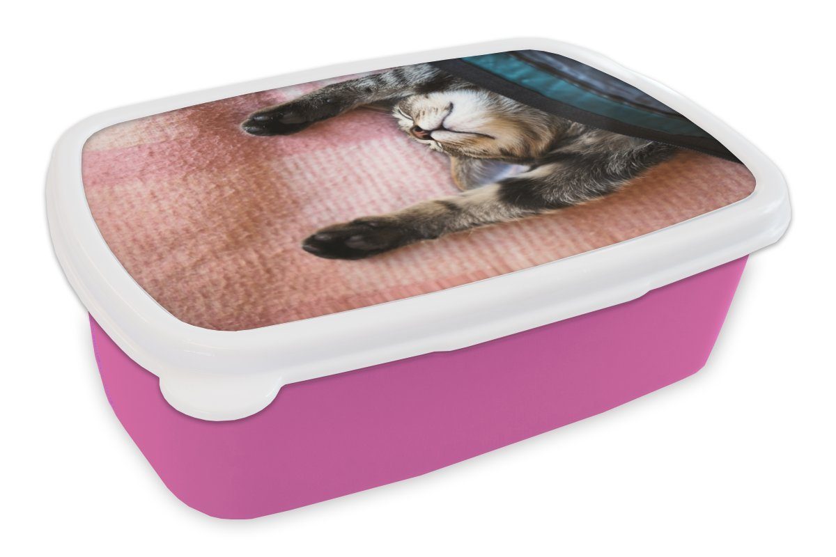 MuchoWow Lunchbox Schlafende Katze auf einem Teppich, Kunststoff, (2-tlg), Brotbox für Erwachsene, Brotdose Kinder, Snackbox, Mädchen, Kunststoff rosa