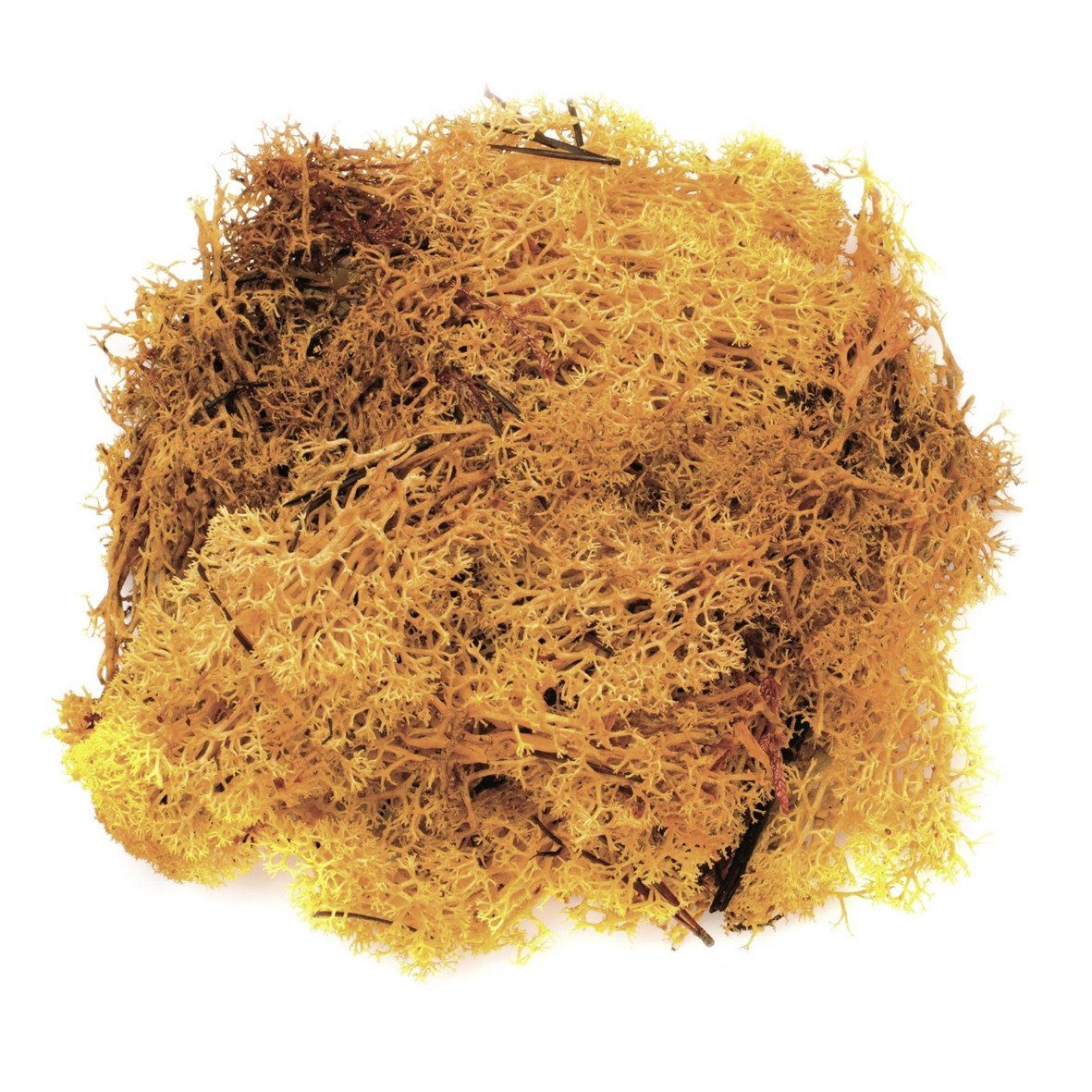 Glorex Dekofigur Glorex Islandmoos orange 50 Gramm
