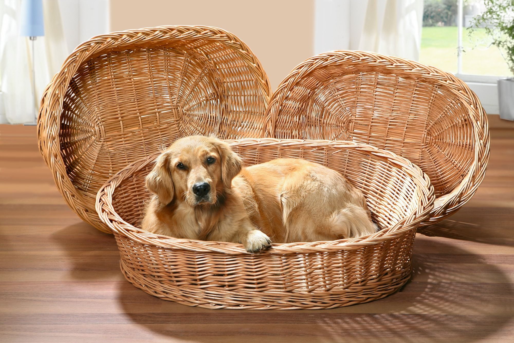 Frank Flechtwaren Tierbett, Hundekorb Relax 90cm