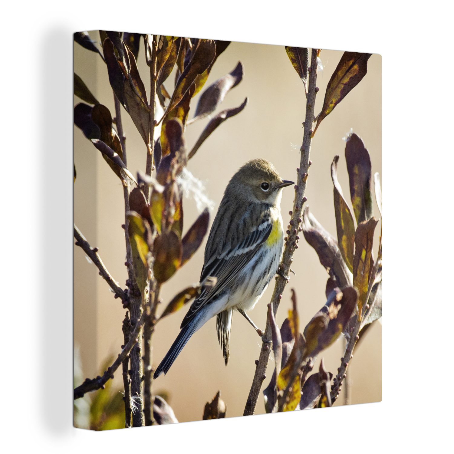 OneMillionCanvasses® Leinwandbild Vogel zwischen einem Zweig mit Blättern, (1 St), Leinwand Bilder für Wohnzimmer Schlafzimmer