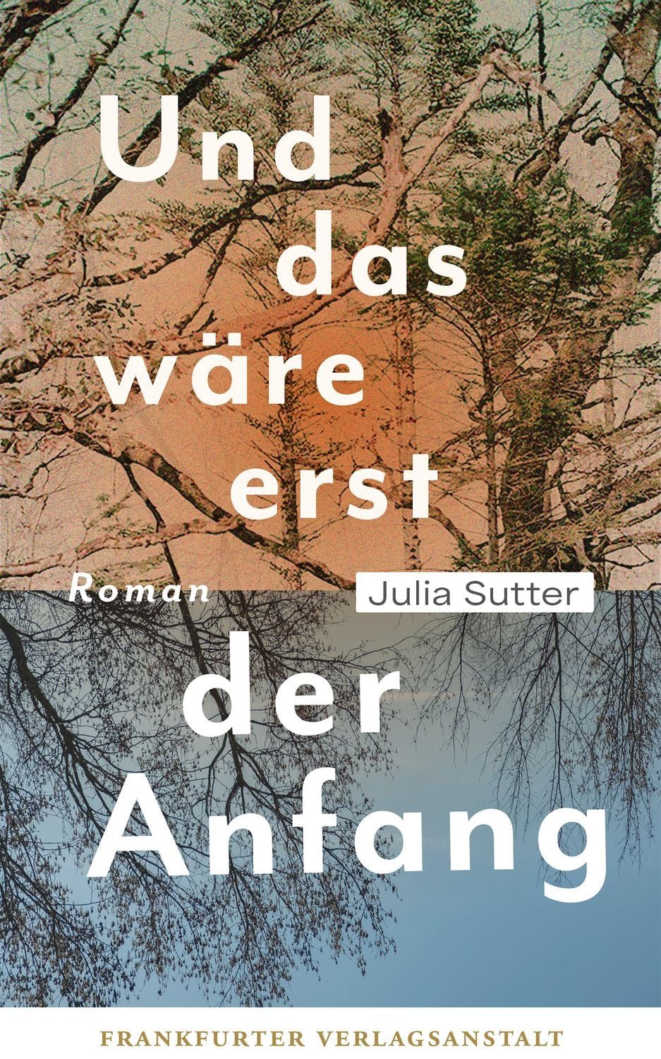 Und das wäre erst der Anfang / Julia Sutter