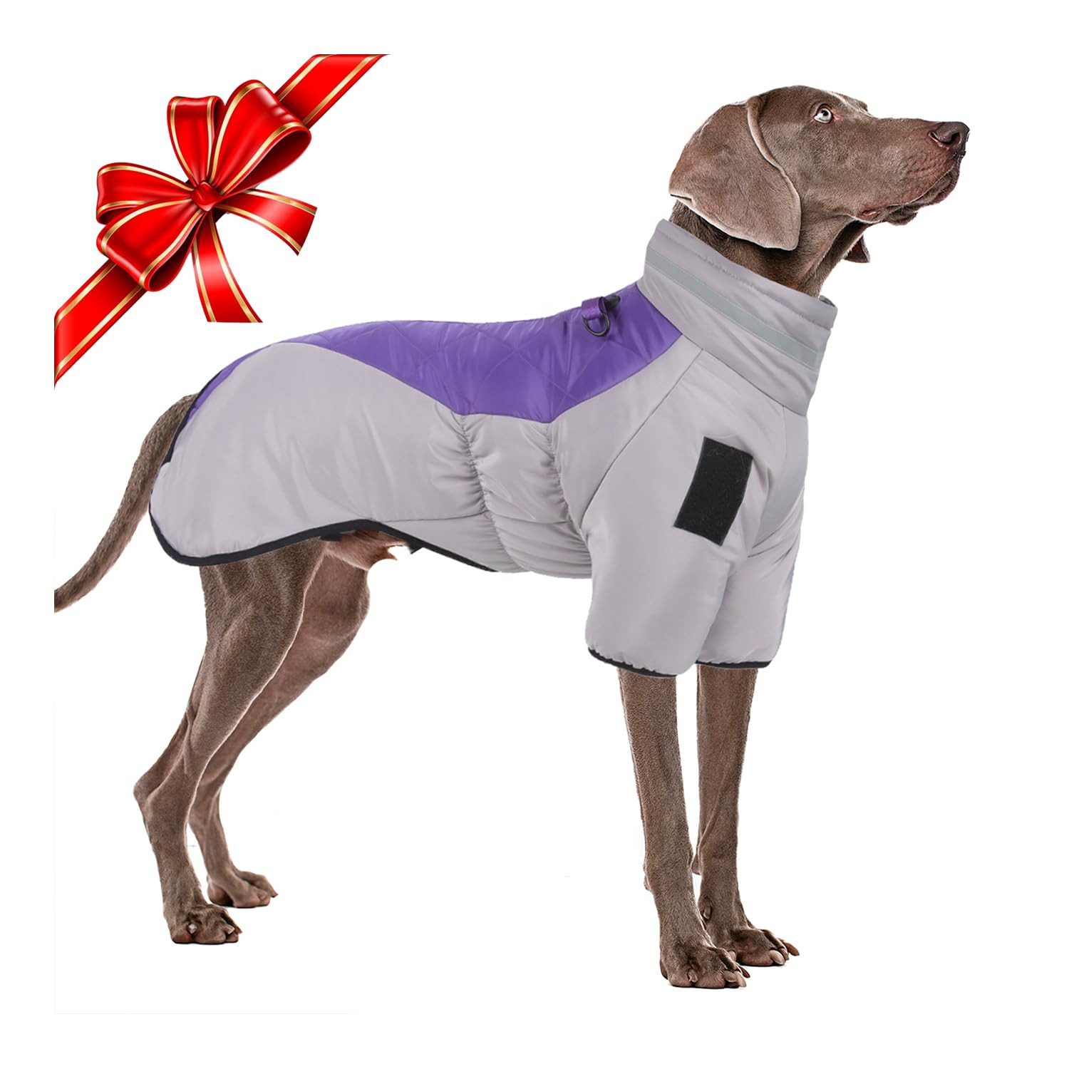 hundebett fr sofa Luxus Sofa-Schonbezug Hundebett