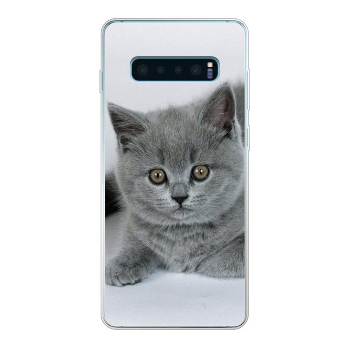 MuchoWow Handyhülle Anzeige eines wunderschönen Britisch-Kurzhaar-Kätzchens Phone Case Handyhülle Samsung Galaxy S10+ Silikon Schutzhülle