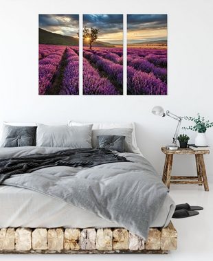 Pixxprint Leinwandbild Lavendel Provence mit Baum, Lavendel Provence mit Baum 3Teiler (120x80cm) (1 St), Leinwandbild fertig bespannt, inkl. Zackenaufhänger