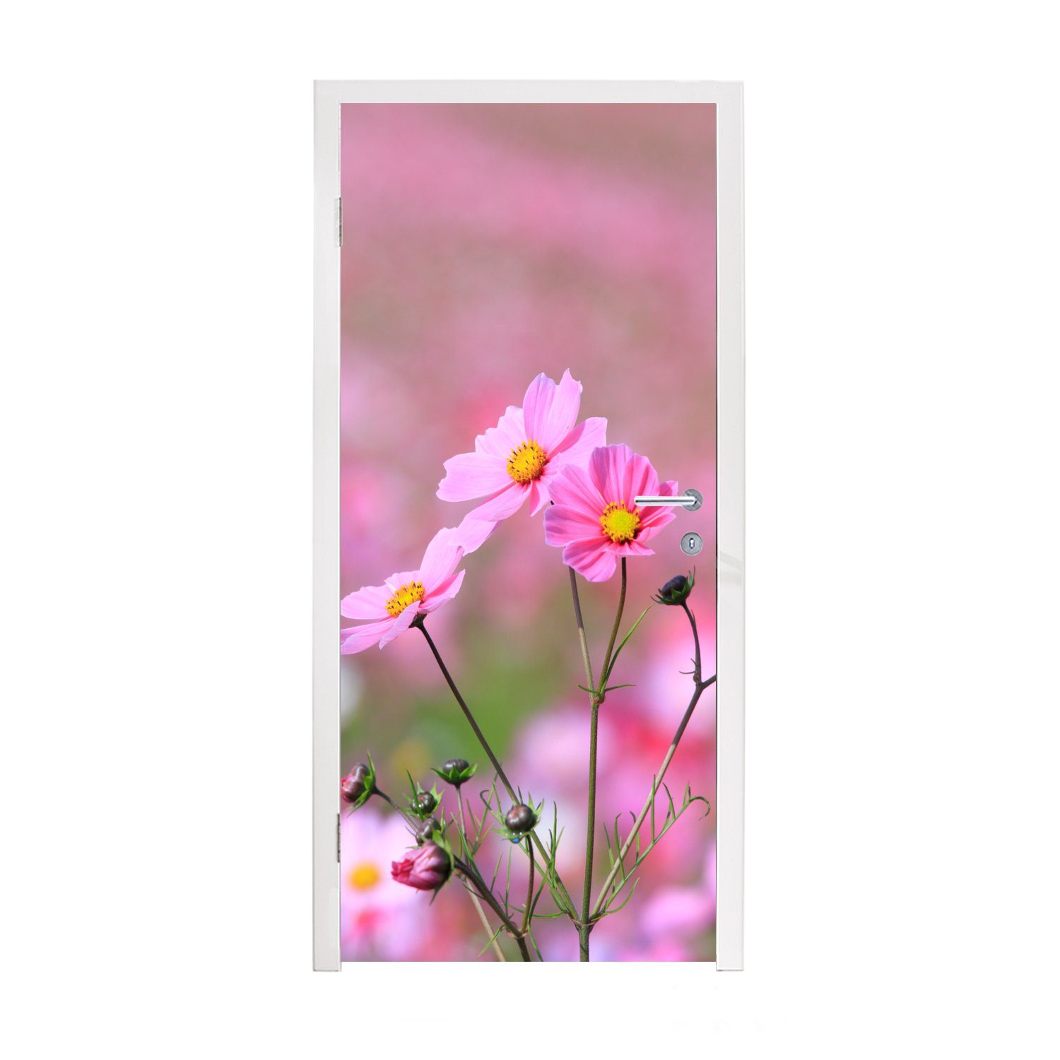 Top-Verkaufsteam MuchoWow Türtapete Blumen - Matt, (1 Fototapete Türaufkleber, bedruckt, Rosa, 75x205 Draußen cm St), für Tür, 