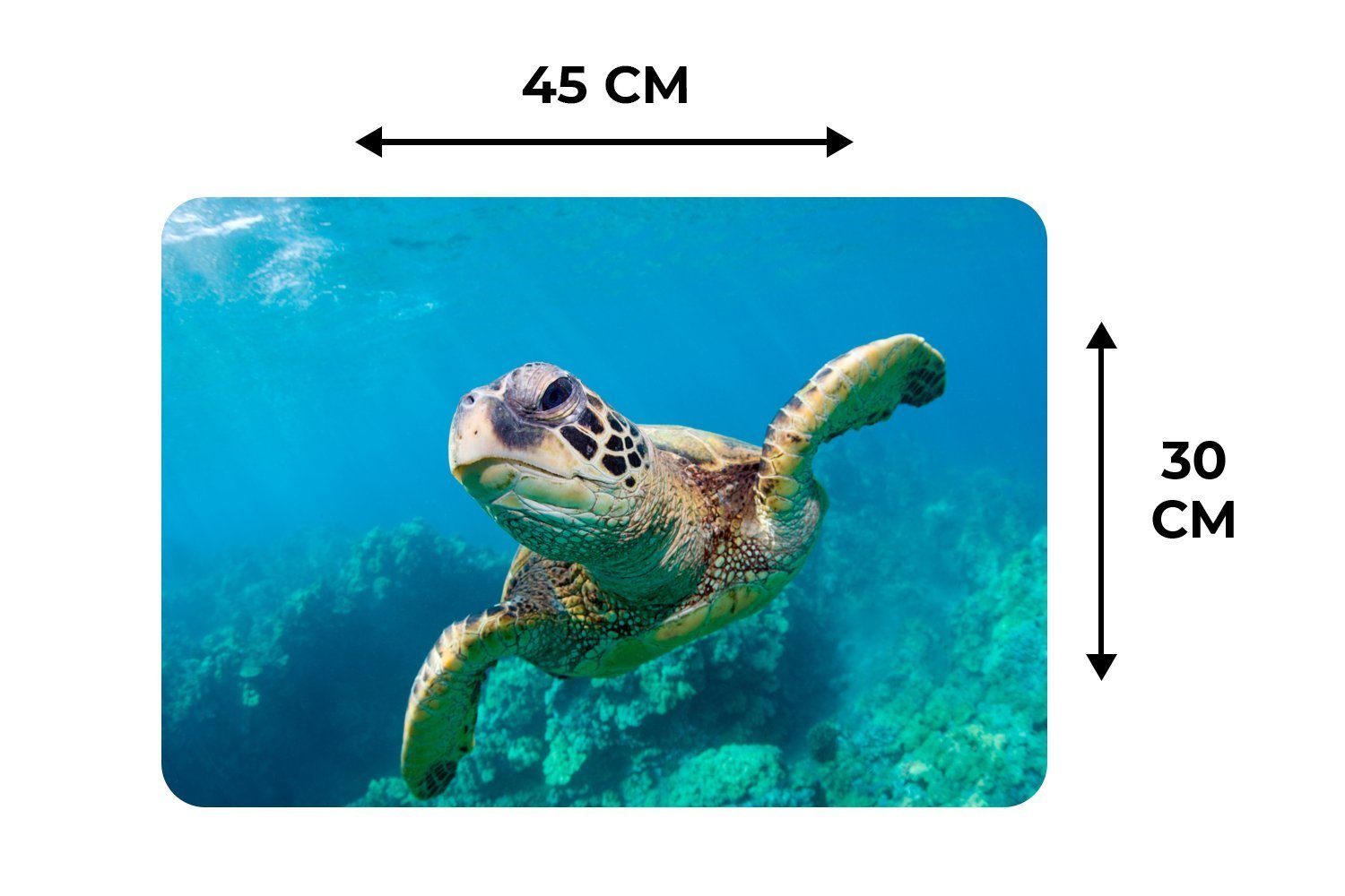 Platzset, Meeresschildkrötenschwimmen auf Platzset, Platzmatte, MuchoWow, Schmutzabweisend Platzdecken, (6-St), Hawaii, Tischmatten