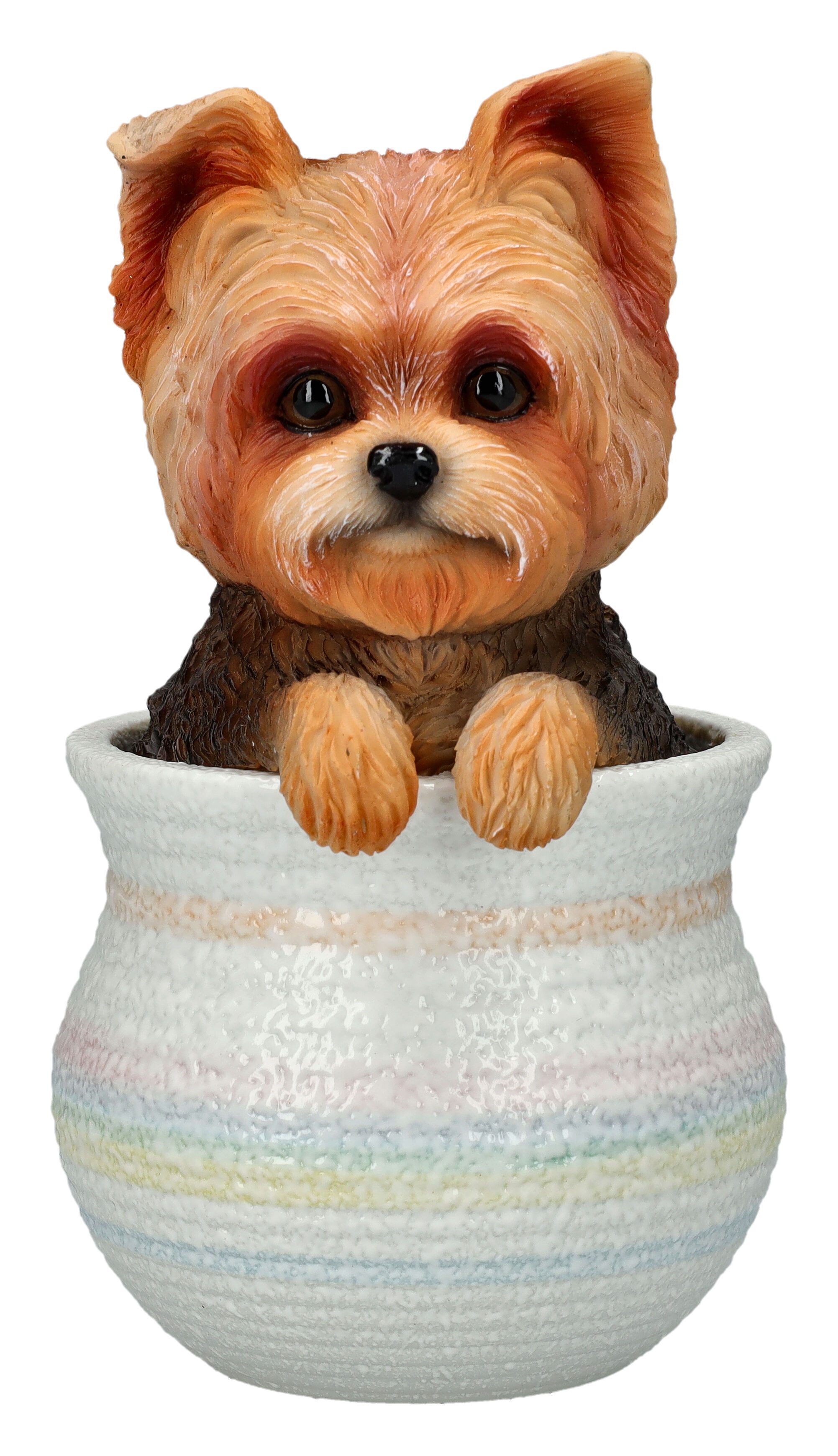 Figuren Shop GmbH Tierfigur Hunde Figur - Yorkshire Terrier im Topf - Dekofigur Deko Tierfigur