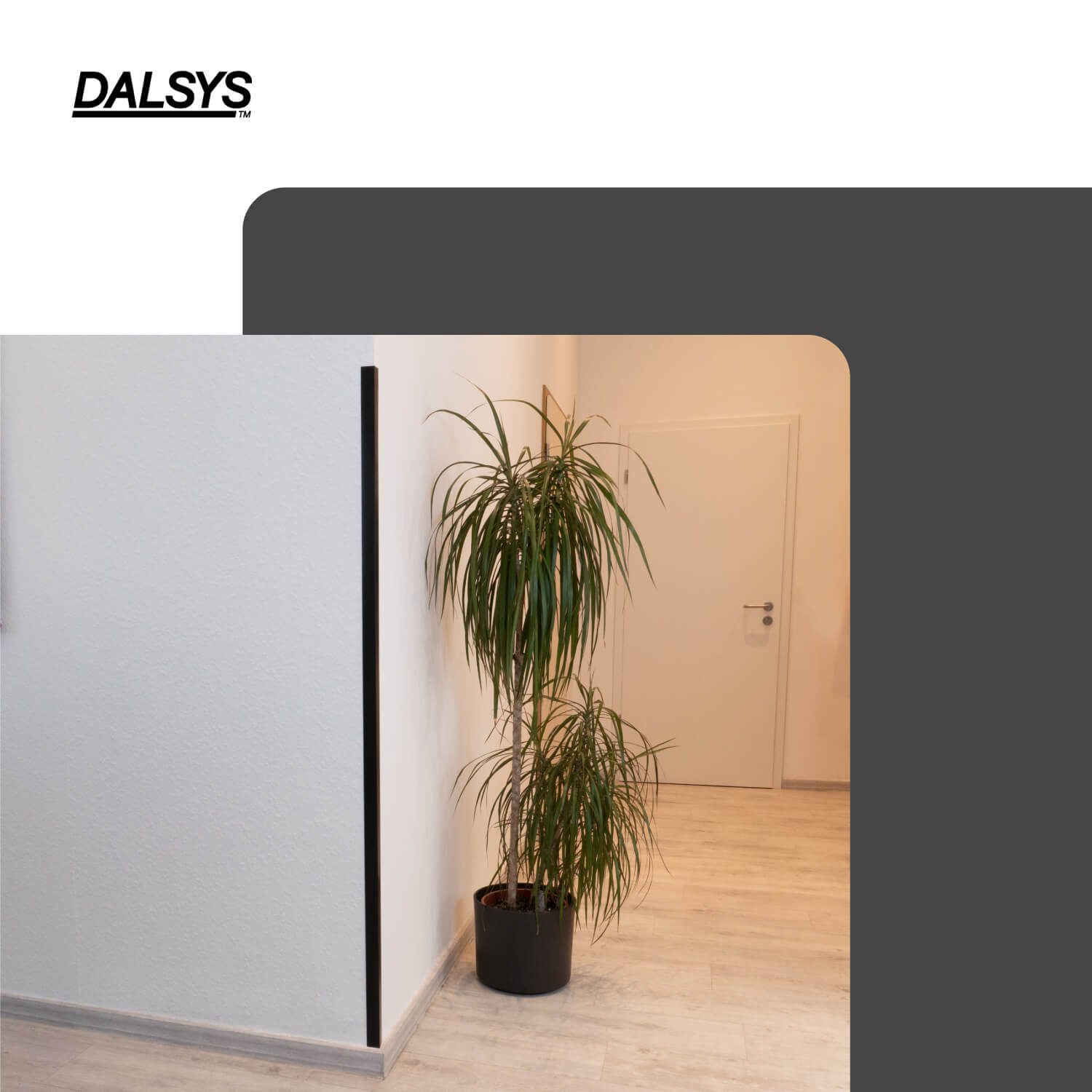 Dalsys Winkelprofil (Winkelprofil selbstklebend PVC 30x30mm, 100cm Schwarz Eckschutzprofil, 1-St., Eckleiste, hoher Kantenschutz Wand), für Wohn- und Arbeitsber – Bild 4 von 5