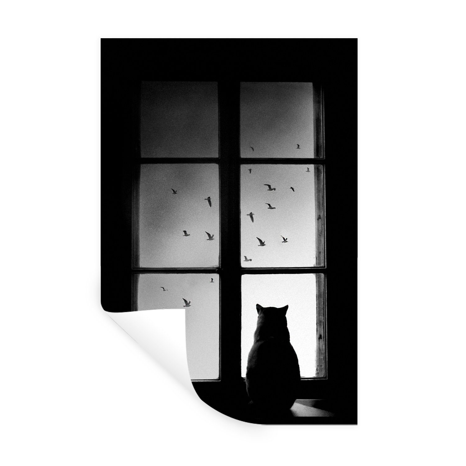 MuchoWow Wandsticker Katze - Tiere - Schwarz und weiß - Fenster (1 St), Wandaufkleber, Wandtattoo, Selbstklebend, Wohnzimmer, Schlafzimmer