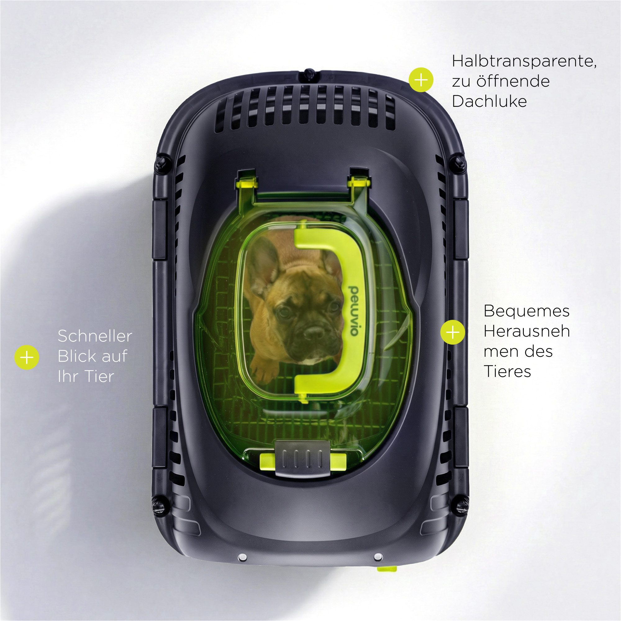 Peluvio Tiertransportbox SAFY für Hunde bis 5 kg, Öffnungsfenster/Großer Griff/Urinauffanggitter/bis zu 5 kg