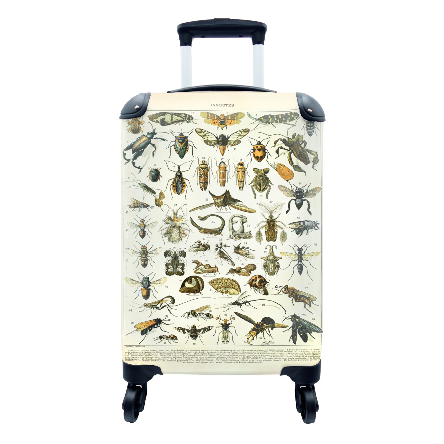 MuchoWow Handgepäckkoffer Insekten - Tiere - Jahrgang, 4 Rollen, Reisetasche mit rollen, Handgepäck für Ferien, Trolley, Reisekoffer