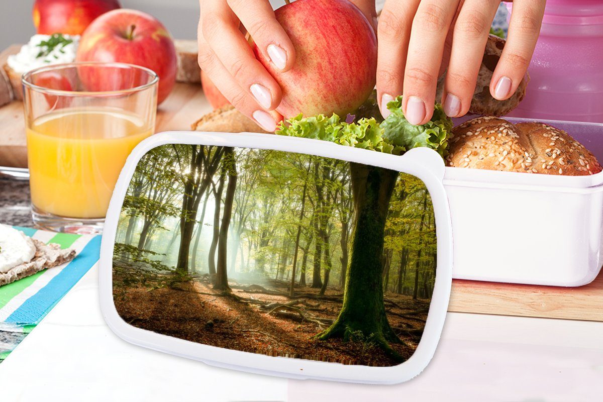 Lunchbox für für (2-tlg), Brotbox Kinder und Jungs weiß Jahreszeiten - - Brotdose, MuchoWow Wald - und Erwachsene, Sonne Mädchen Kunststoff, Landschaft,