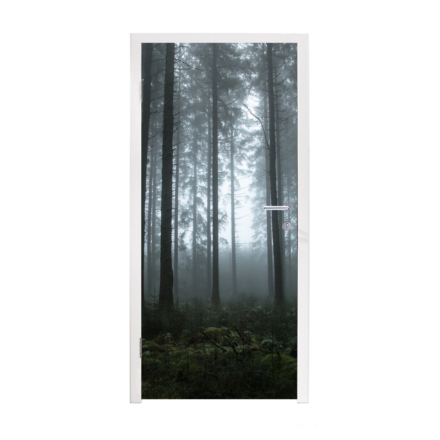 MuchoWow Türtapete Wald - Licht - Nebel, Matt, bedruckt, (1 St), Fototapete für Tür, Türaufkleber, 75x205 cm