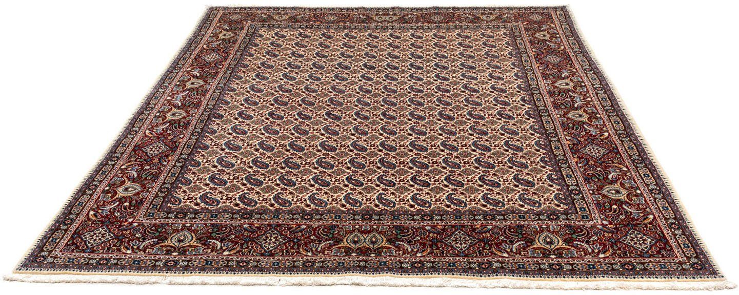 Wollteppich Moud Felder Rosso scuro 240 x 148 cm, morgenland, rechteckig, Höhe: 10 mm, Unikat mit Zertifikat