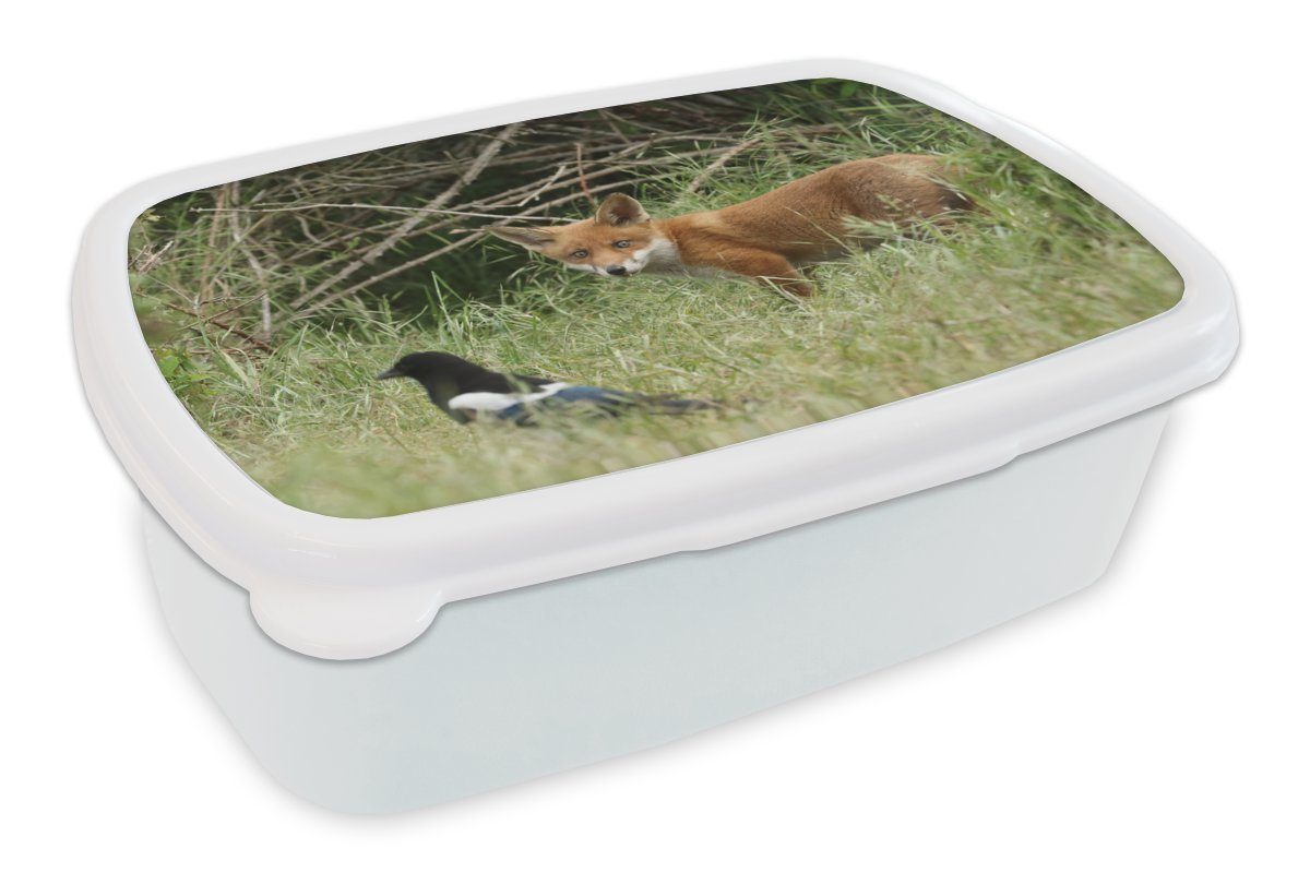 erstklassig MuchoWow Lunchbox Tiere - für Brotbox und weiß (2-tlg), Jungs Mädchen und Vogel Fuchs, Kinder Kunststoff, für Erwachsene, Brotdose, 