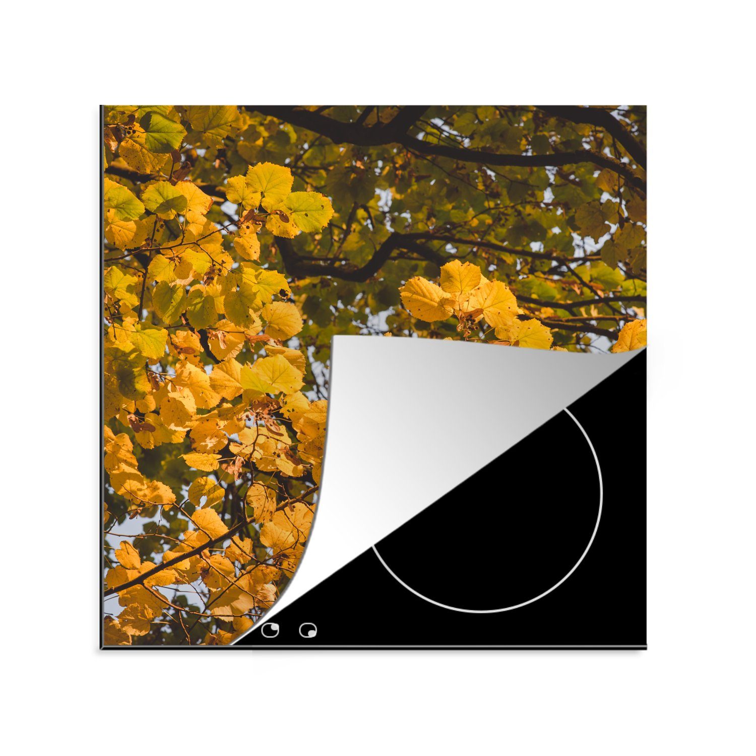MuchoWow Herdblende-/Abdeckplatte Blätter - Baum - Natur - Jahreszeiten, Vinyl, (1 tlg), 78x78 cm, Ceranfeldabdeckung, Arbeitsplatte für küche