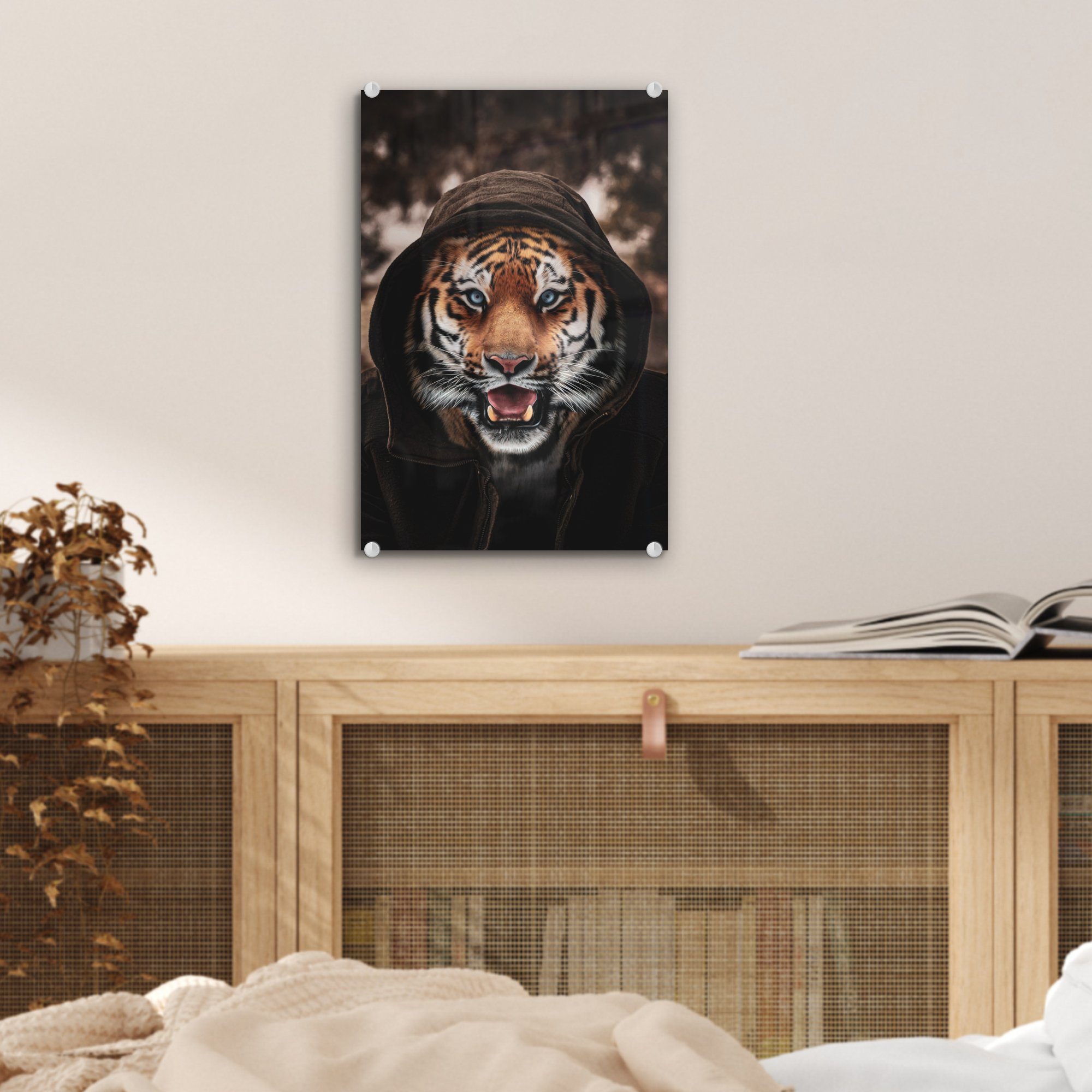 - auf Wandbild bunt - Foto Tiger Acrylglasbild Bilder - auf St), mit Kapuze, MuchoWow Wanddekoration (1 Glas Glasbilder Glas
