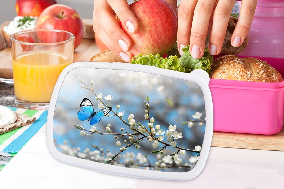 Sakura Erwachsene, Mädchen, Frühling, Schmetterling (2-tlg), Brotbox Snackbox, Brotdose Kinder, rosa MuchoWow - Lunchbox Kunststoff, - für Kunststoff