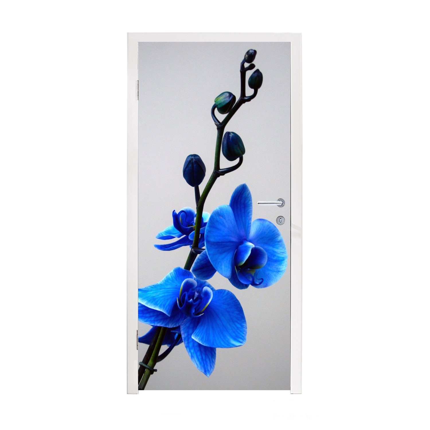 MuchoWow Türtapete Blaue für Orchidee, bedruckt, Matt, (1 Tür, Fototapete cm 75x205 St), Türaufkleber